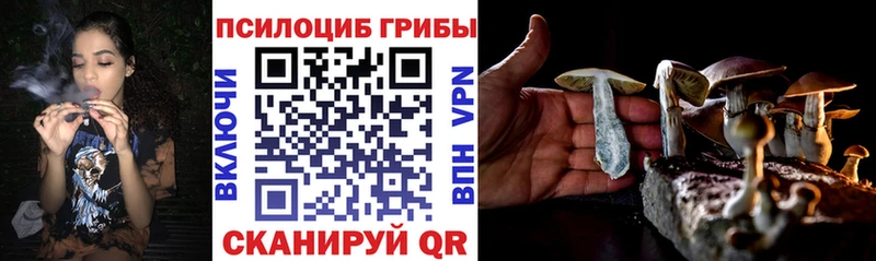 продажа наркотиков  Нижняя Салда  Псилоцибиновые грибы GOLDEN TEACHER 